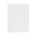 Blessed Velveteen Plush Blanket — Floral Wreath Cozy Throw